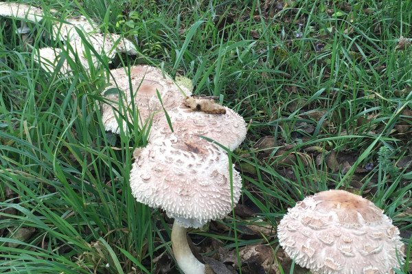 Ein wunderschönes Bild